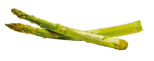 3-e1785951266987.png