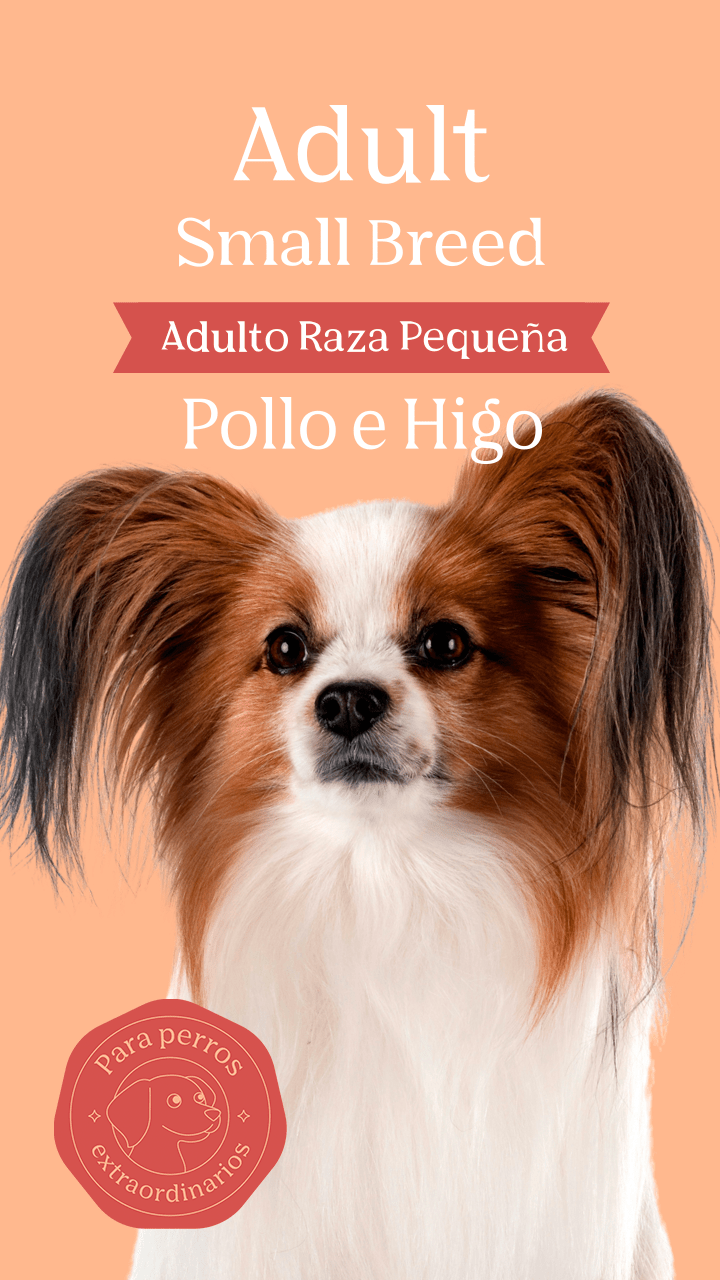 Magno-Adulto-Raza-Pequena-Banner-Principal-Movil-1.png